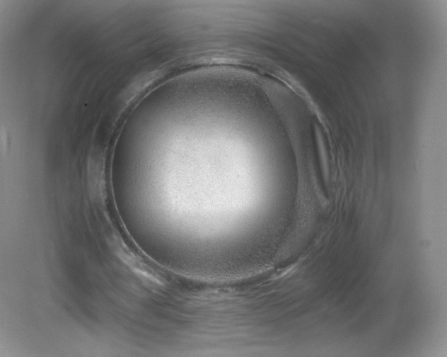 X0000083000386200702011500