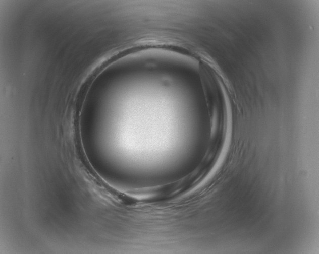 X0000083000387200702011500