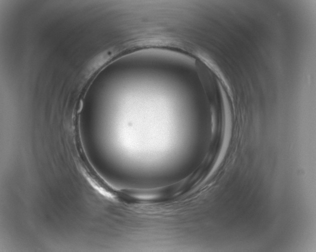 X0000083000389200702011500