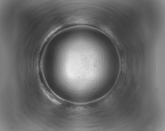 X0000083000390200702011500