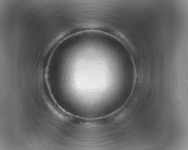 X0000083000394200702011500