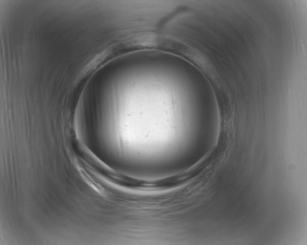 X0000083000397200702011500