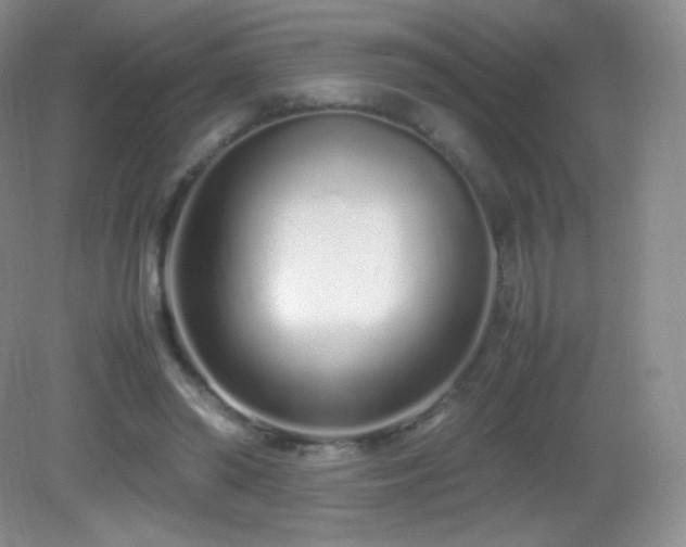 X0000083000398200702011500