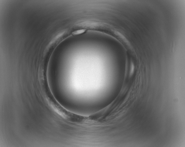 X0000083000399200702011500