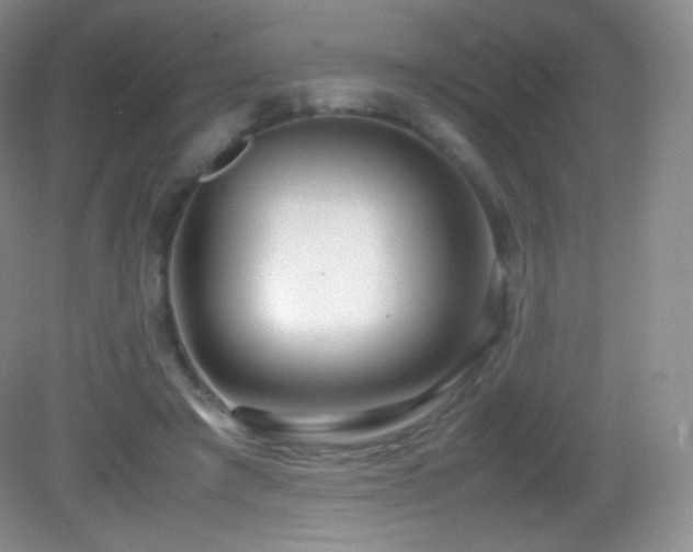 X0000083000401200702011500