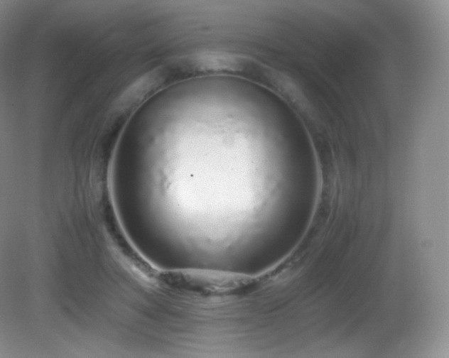 X0000083000402200702011500