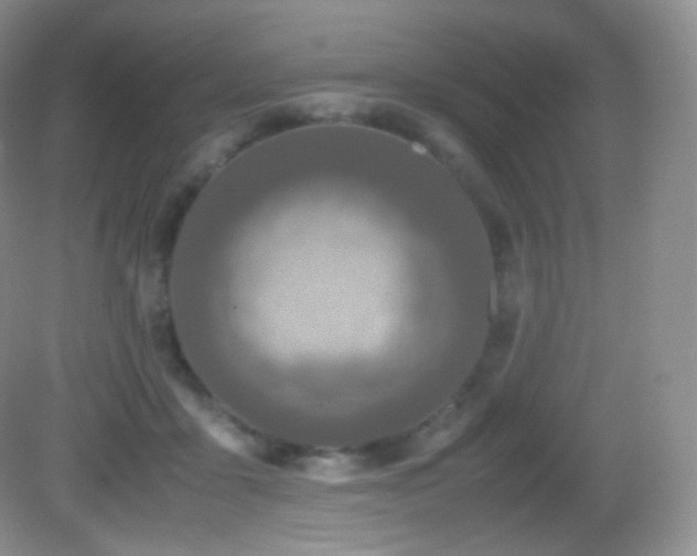 X0000083000411200702011500