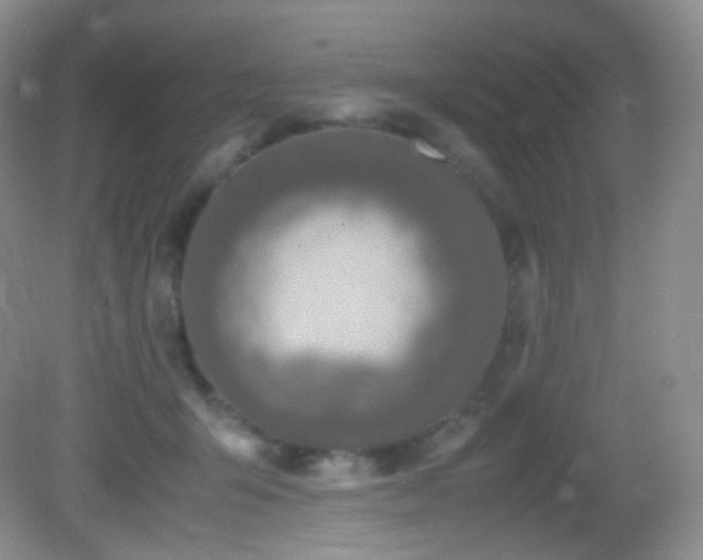 X0000083000415200702011500