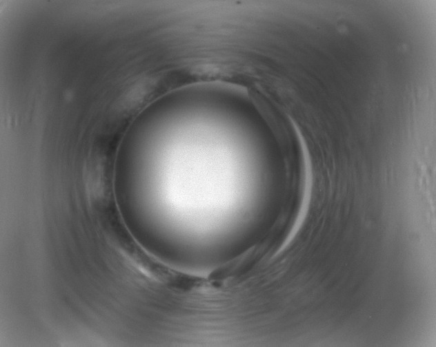 X0000083000416200702011500