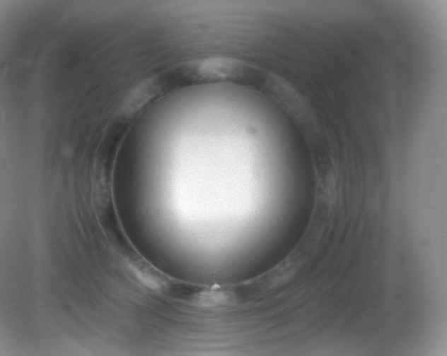X0000083000418200702011500