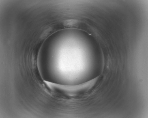 X0000083000420200702011500