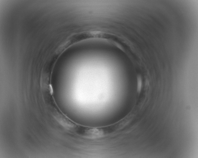 X0000083000421200702011500