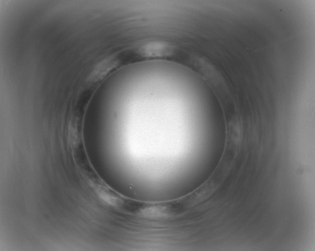 X0000083000422200702011500