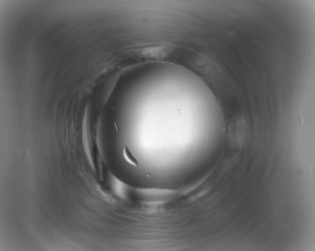 X0000083000424200702011500