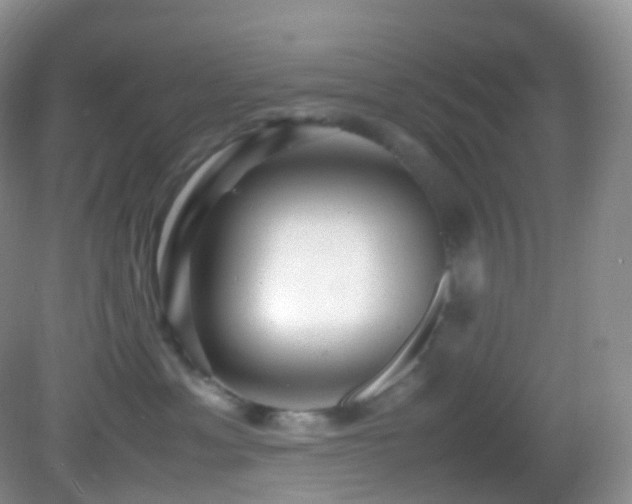 X0000083000429200702011459