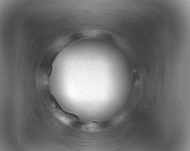 X0000083000431200702011459