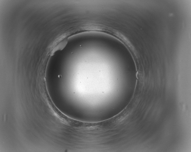 X0000083000433200702011459