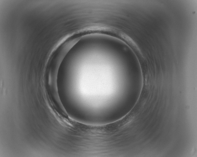 X0000083000436200702011459