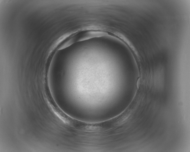 X0000083000437200702011459