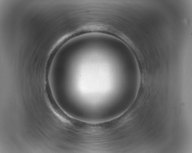 X0000083000438200702011459