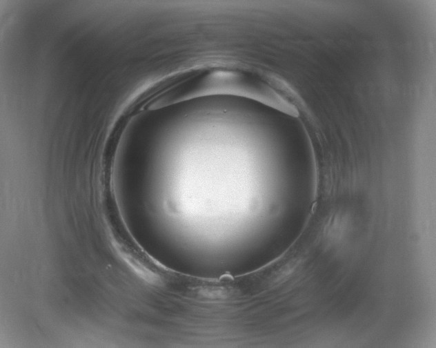 X0000083000439200702011459