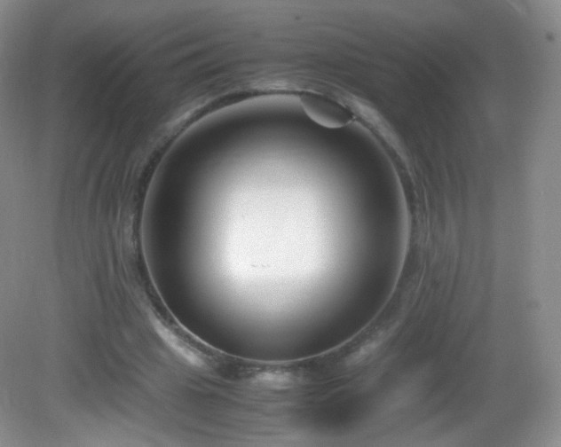 X0000083000441200702011459
