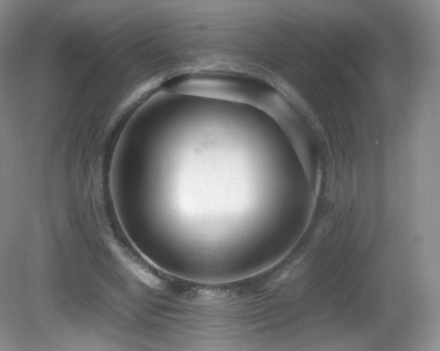 X0000083000442200702011459