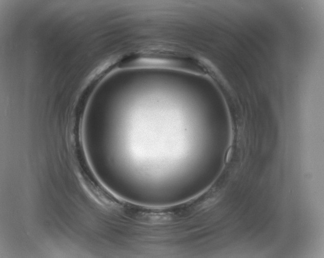 X0000083000443200702011459