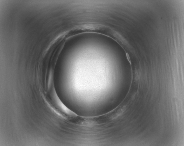 X0000083000444200702011459