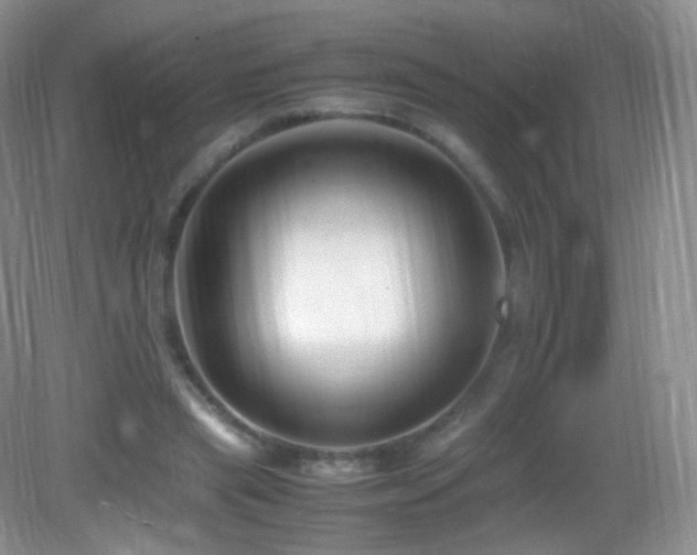 X0000083000445200702011459