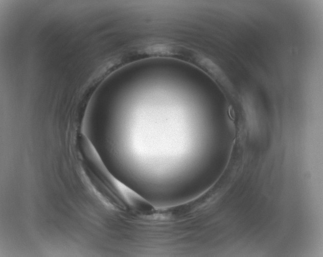 X0000083000449200702011459