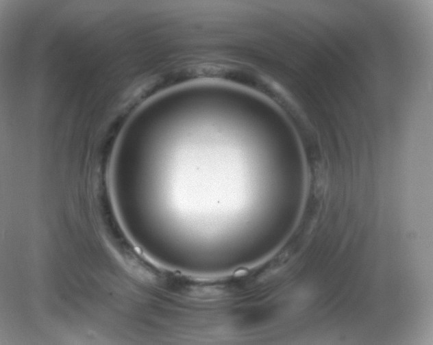 X0000083000451200702011459
