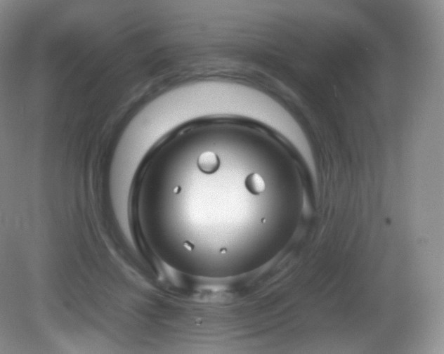 X0000083000452200702011459