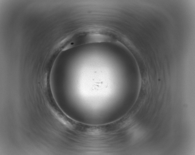 X0000083000454200702011459