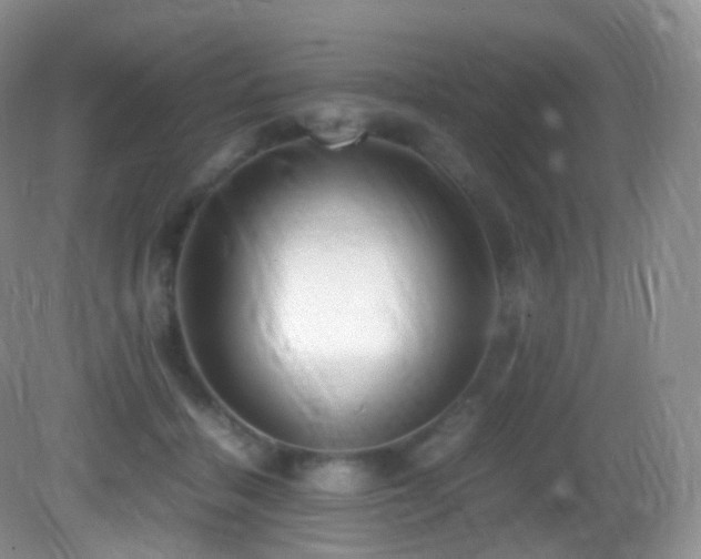 X0000083000460200702011459