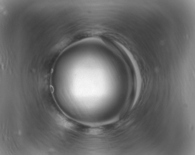 X0000083000462200702011459