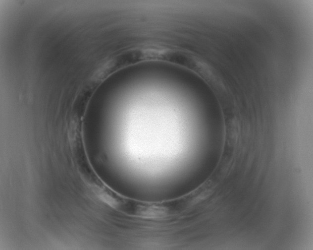 X0000083000463200702011459