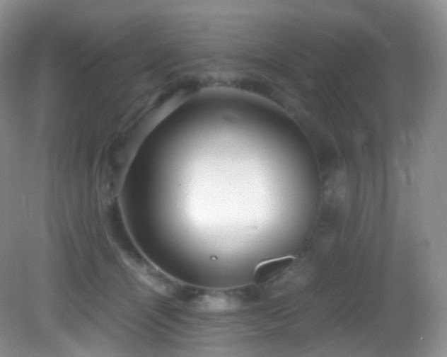X0000083000464200702011459