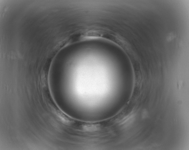 X0000083000465200702011459