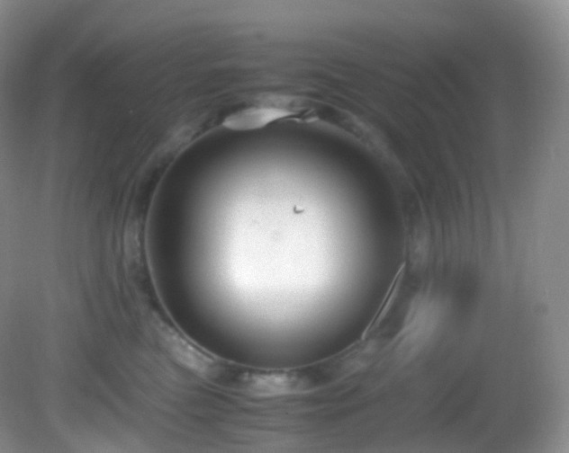 X0000083000473200702011459