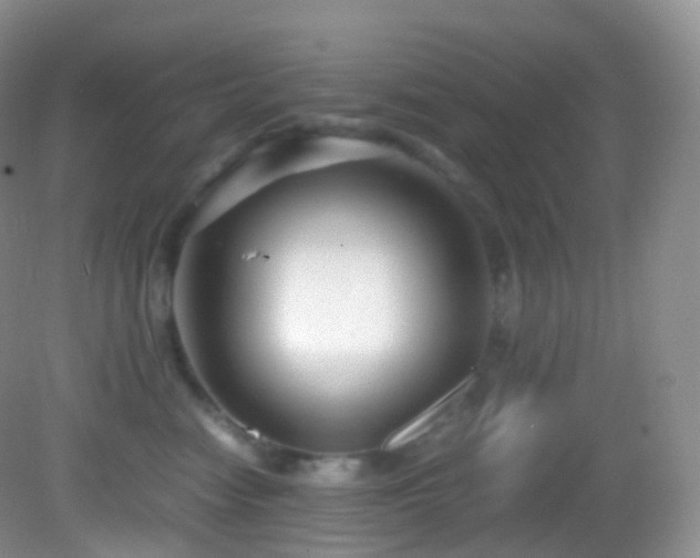X0000083000474200702011459