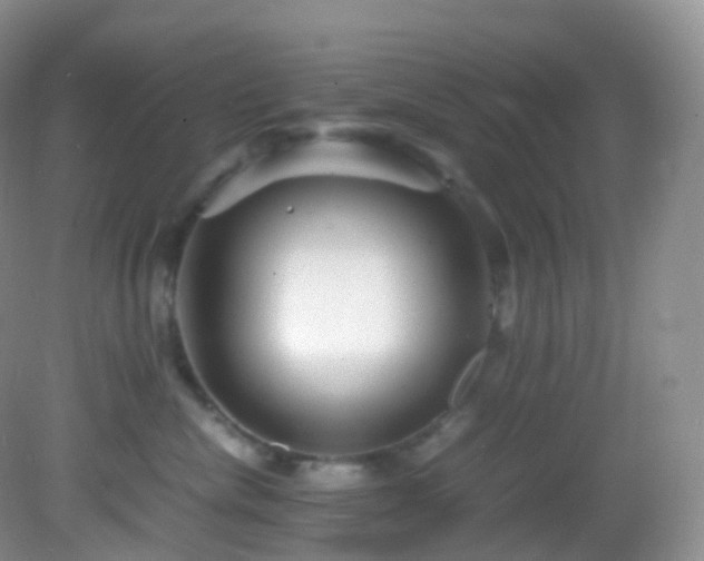 X0000083000476200702011459
