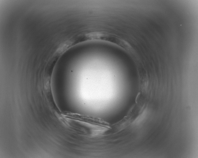 X0000083000477200702011459