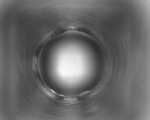 X0000083000480200702011459