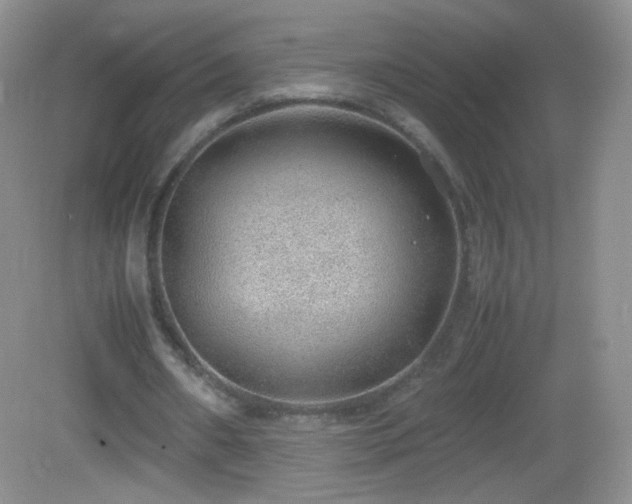X0000083000482200702011459