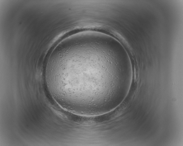 X0000083000483200702011459