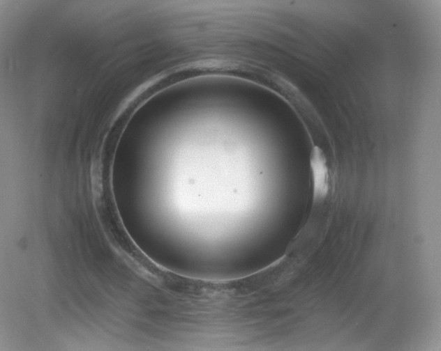 X0000083000484200702011459