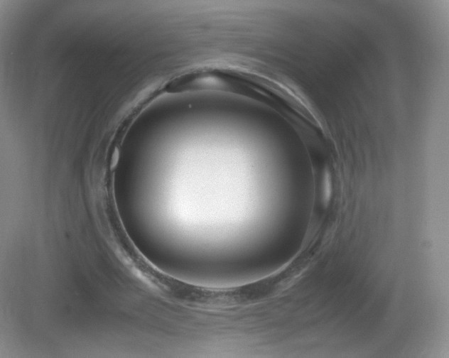 X0000083000485200702011459