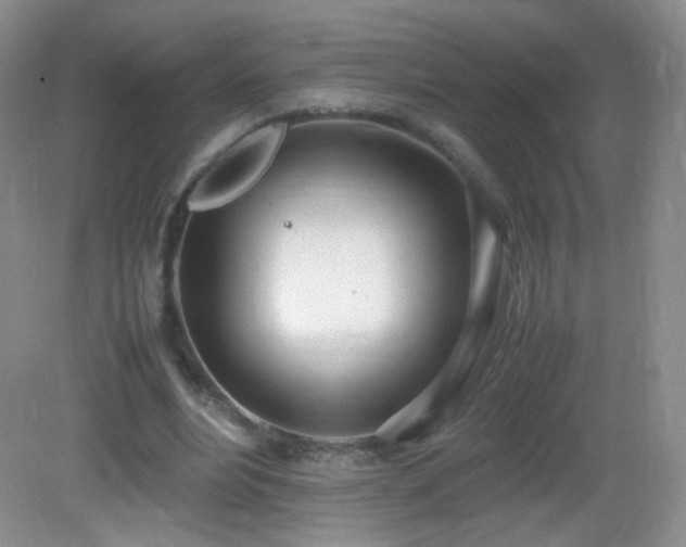 X0000083000488200702011458