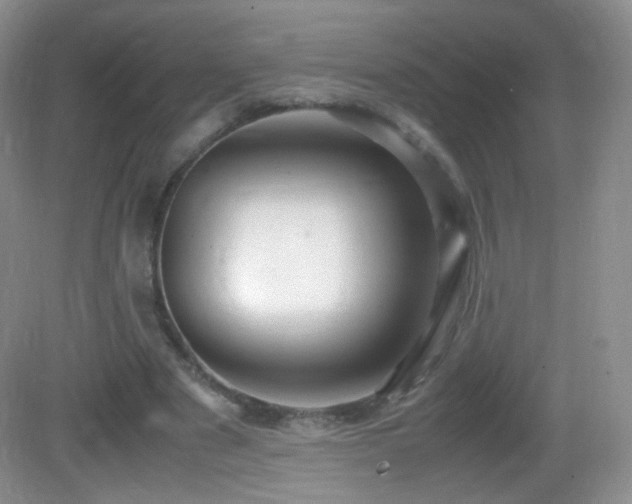 X0000083000489200702011458